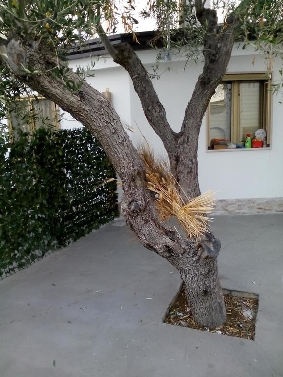 Marechiaro Foce Varano Exterior foto